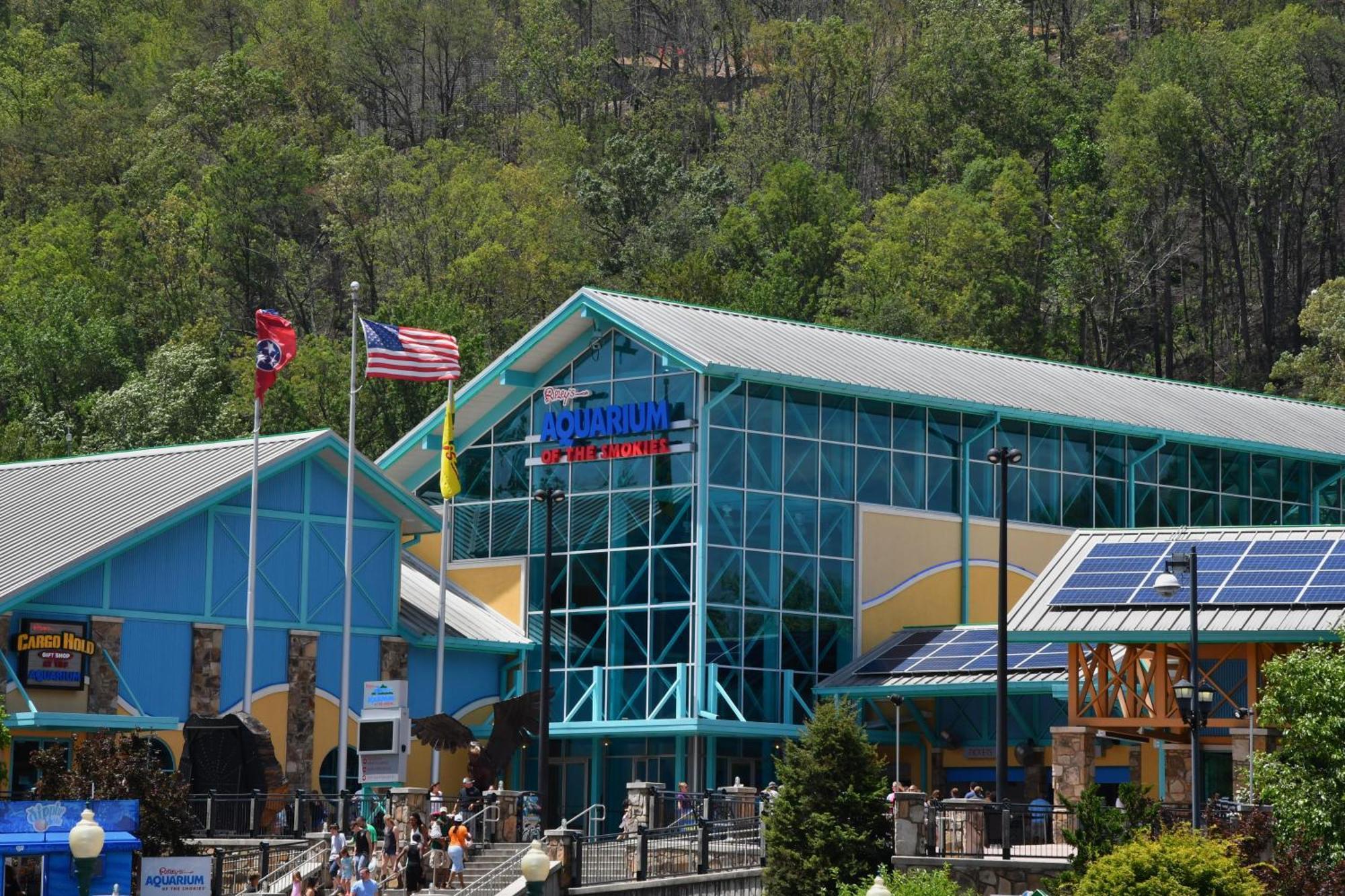 Foxy Lady #1531 Villa Gatlinburg Exterior photo
