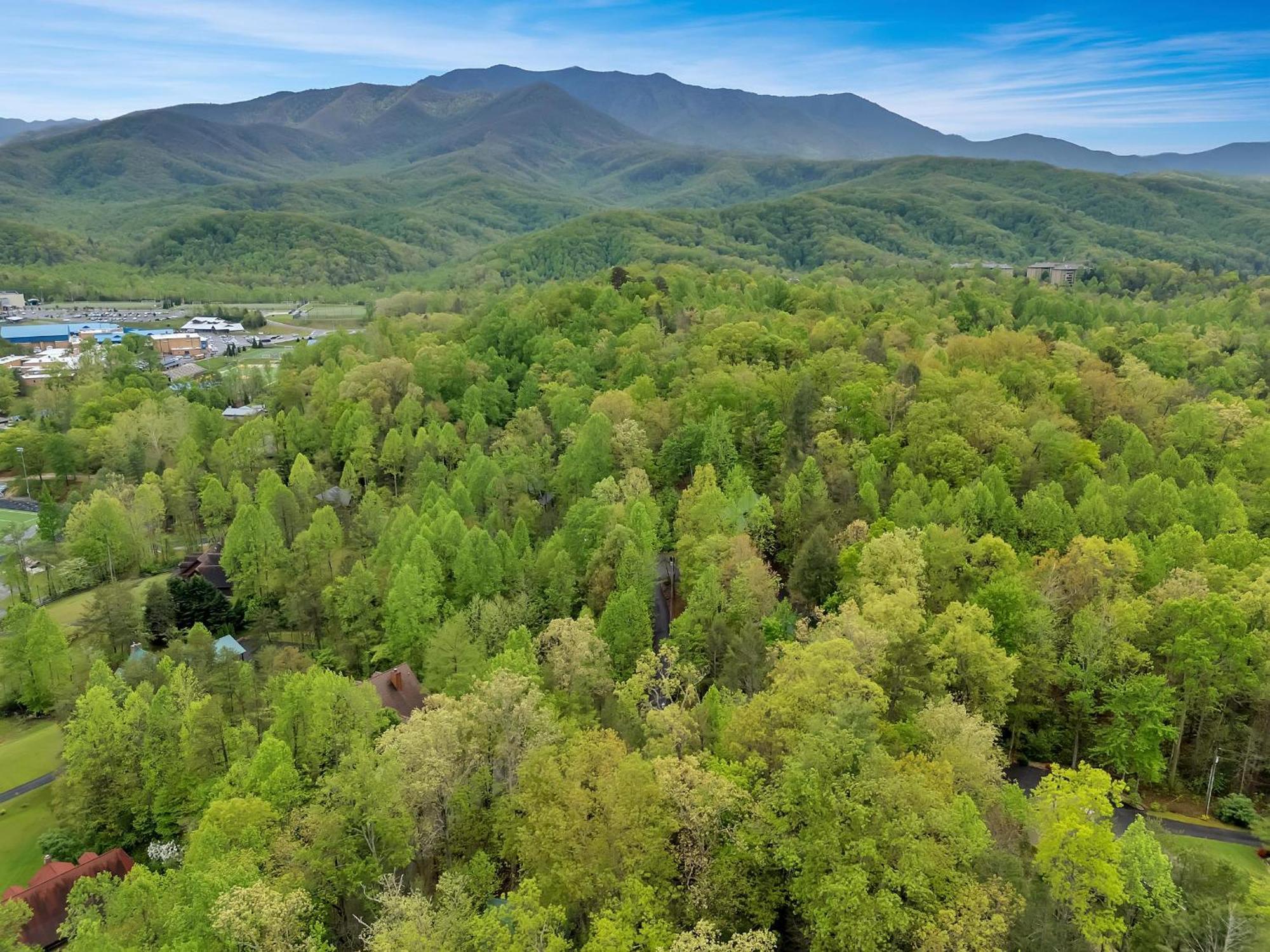 Foxy Lady #1531 Villa Gatlinburg Exterior photo